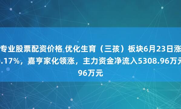 专业股票配资价格 优化生育（三孩）板块6月23日涨0.17%，嘉亨家化领涨，主力资金净流入5308.96万元