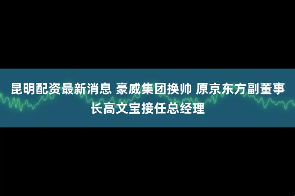 昆明配资最新消息 豪威集团换帅 原京东方副董事长高文宝接任总经理